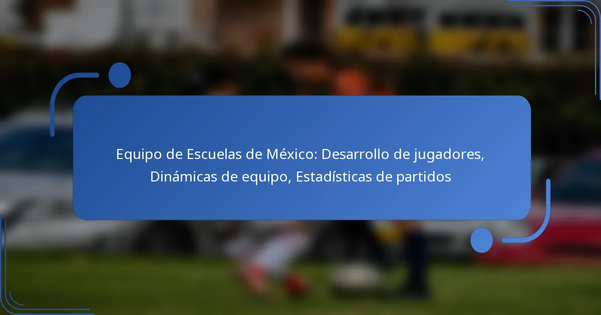Equipo de Escuelas de México: Desarrollo de jugadores, Dinámicas de equipo, Estadísticas de partidos